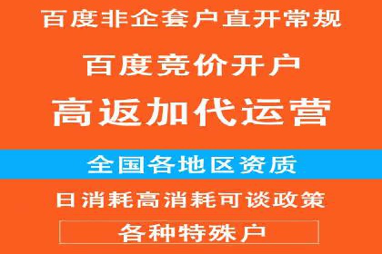 百度竞价排名：实战案例告诉你如何实现精准推广